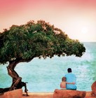 Picture for song 'Trail Of Clues' by artist 'The Tones'