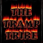 Picture for song 'Midnight Drive to Nowhere' by artist 'The Tramp Tribe'