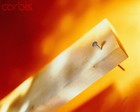Picture for song 'Board with a Nail in It' by artist 'The Vault - Selections from Our Scatalogue'