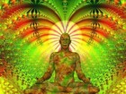 Picture for song 'Meditation 2' by artist 'The Vault - Selections from Our Scatalogue'