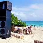 Picture for song 'Pier Pressure-' by artist 'the Vietna Mogue'