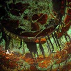 Picture for song '...Generational 777 Exit!' by artist 'The Well is Deep'