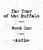 Picture for song 'Week One: Natural Nanomachine' by artist 'The Year of the Buffalo'