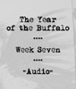Picture for song 'Week Seven: Make Shift Dispose' by artist 'The Year of the Buffalo'