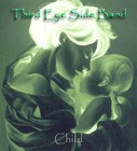 Picture for song 'Child' by artist 'Third Eye Side Band'