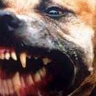 Picture for song 'LIFE IS SHORT-40Budz' by artist 'THIS IS 40'