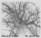 Picture for song 'The Spirit Tree' by artist 'Thomas J Wilson'