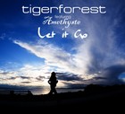 Picture for song 'Let it go' by artist 'Tigerforest'