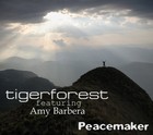 Picture for song 'Peacemaker' by artist 'Tigerforest'