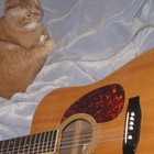 Picture for song 'Moment 2 Freeze' by artist 'Timothy S Epperhart'