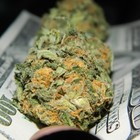 Picture for song 'Rich & Famous (Free D/L)' by artist 'Tony Fadd'