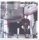 Picture for song 'life had been dreamt' by artist 'tory z starbuck'