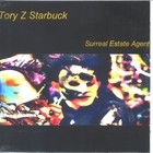 Picture for song 'she hangs in the galleries' by artist 'tory z starbuck'