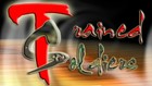 Picture for song 'SO HIGH' by artist 'Trained Soldiers'