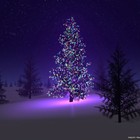 Picture for song '*!DUBSTEP!* Night Before Christmas | 99 Cent D/L' by artist 'Trak Addicts'