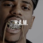 Picture for song 'H.A.M' by artist 'TrakkBlazers'