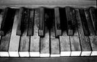 Picture for song 'Natural Blues' by artist 'Trans Coma'