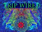Picture for song 'improv1' by artist 'Trip Wired'
