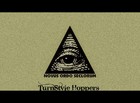 Picture for song 'Hurt (Prod. By VTZ)' by artist 'TSHYoung World'