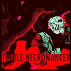 Picture for song 'Disk O'tech' by artist 'Turtle Necromancer'