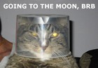 Picture for song 'DJ ReCCy - looking for the pefect treat' by artist 'Twixies Phantasy People'