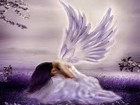 Picture for song 'Angels' by artist 'Two Free'