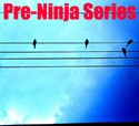 Picture for song 'Pre-Ninja Series preview' by artist 'Up Bustle and Out'