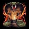 Picture for song 'INTENSE' by artist 'VENOM SQUAD PRODUCTIONS'