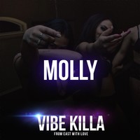 Picture for song 'MOLLY' by artist 'VIBE KILLA'