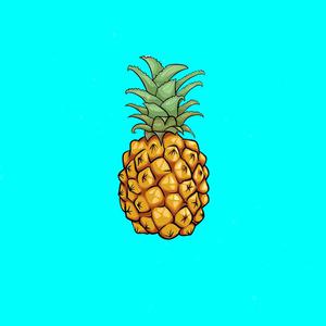 Picture for song 'Pineapples' by artist 'VicTheMonster'
