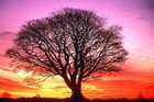 Picture for song 'RED RIVER VALLEY BY Virgils country' by artist 'VIRGILS COUNTRY MUSIC'
