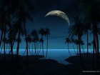 Picture for song 'Weston 13' by artist 'Weston Damn Dunn'