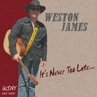 Picture for song 'It Doesn't Matter' by artist 'Weston James'