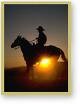 Picture for song 'The Last Cowboy of Brooklyn- Overture' by artist 'Whale Hawk'