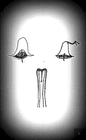 Picture for song 'wild cat strike - bells.mp3' by artist 'wild cat strike'