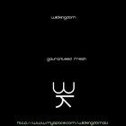 Picture for song 'Understand The Reason' by artist 'WILD KINGDOM'