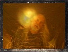 Picture for song 'The Mummer's Dance' by artist 'Will Carroll'