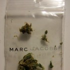 Picture for song 'Blow My High' by artist 'Wordplay Metzger'