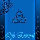 Picture for song 'GRAB DA GAT BIG SPOOK F J SICC AND HACK' by artist 'WORLD ENTERPRIZE RECORDS'