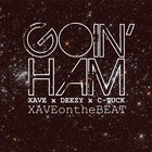 Picture for song 'Goin' Ham Ft. Roscoe Dash' by artist 'Xave'