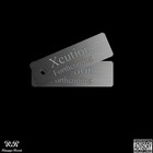 Picture for song 'Xcution - Steady Ready (Thank You)' by artist 'Xcution'