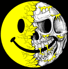 Picture for song 'PARTY LIKE A GANGSTA' by artist 'Yellow Boy'