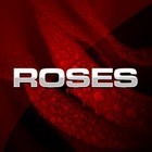 Picture for song '**New**Roses' by artist 'Young B Productions'
