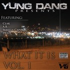 Picture for song 'YUNG TO THA DANG' by artist 'YUNG DANG'