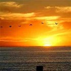 Picture for song 'Easter in San Diego' by artist 'Zedster'