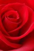 Picture for song 'Passionate Times' by artist 'Zero G's Blues Express'