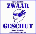 Picture for song 'shine on' by artist 'ZWAAR GESCHUT'