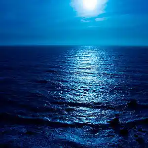 Picture for song 'Moon over Esalen Bay Instrumental' by artist 'Carlo D'Anna'