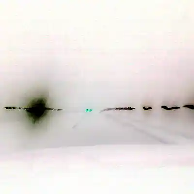 Picture for song 'Reverse And' by artist 'D X M digital experimental music'