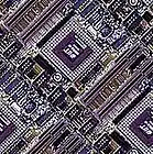 Picture for song 'Recuerdo' by artist 'Euterpe Archipelago'